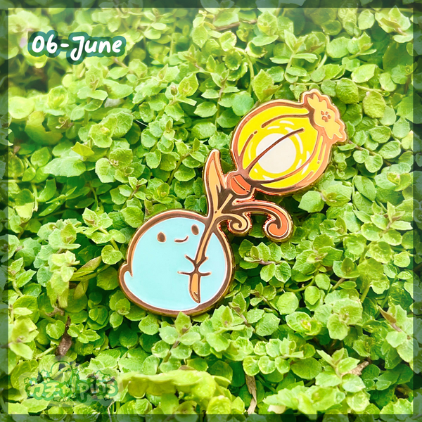 Pin Club Secret Shop