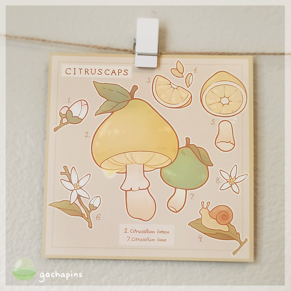 Fruitcaps Postcard Prints