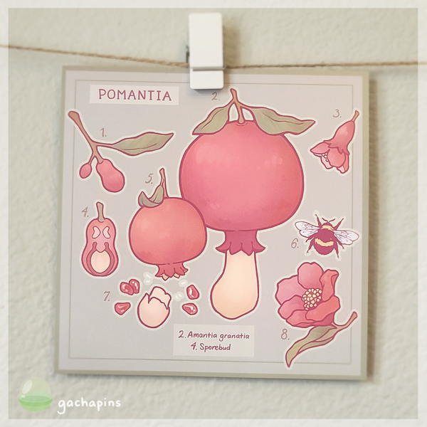 Fruitcaps Postcard Prints