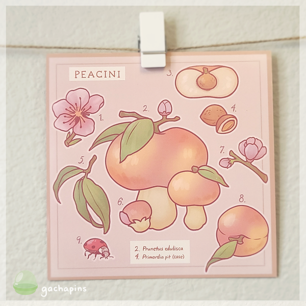 Fruitcaps Postcard Prints