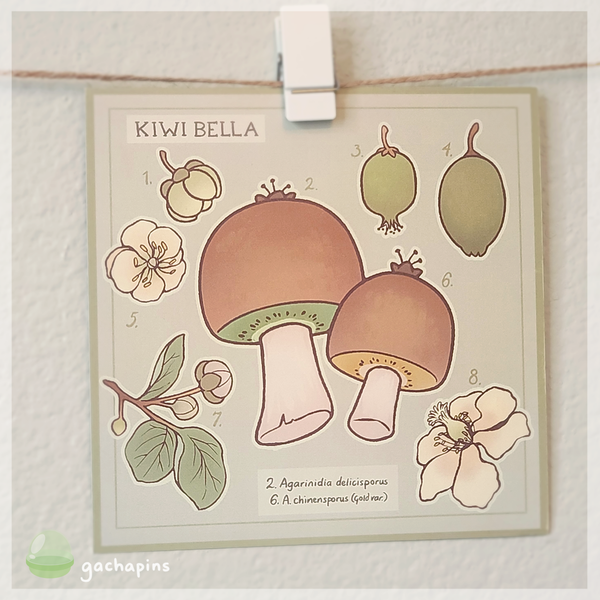 Fruitcaps Postcard Prints