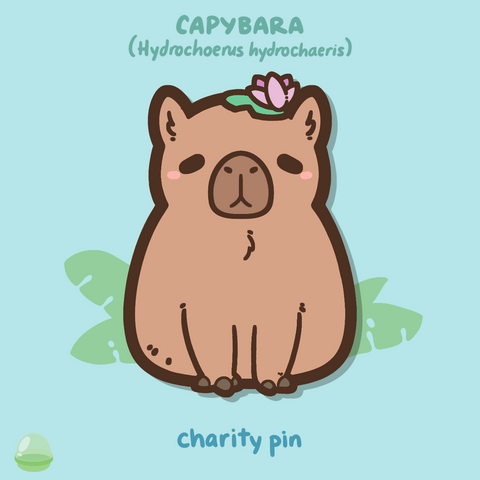 Capybara for the Amazon - Conservation Pin